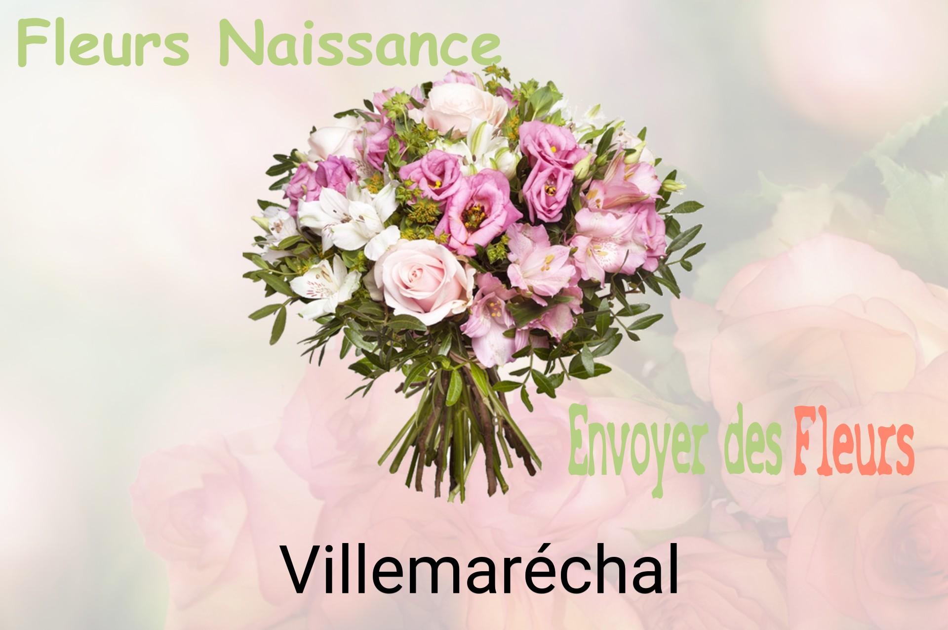 Bouquet de fleurs de naissance livré à Villemaréchal
